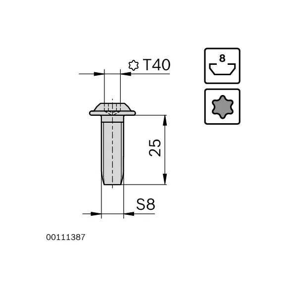 Śruba centralna S8x25-T40